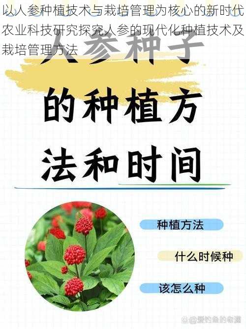 以人参种植技术与栽培管理为核心的新时代农业科技研究探究人参的现代化种植技术及栽培管理方法