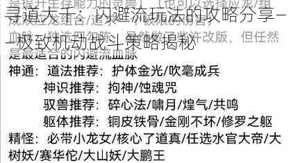 寻道大千：闪避流玩法的攻略分享——极致机动战斗策略揭秘