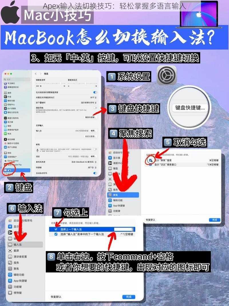 Apex输入法切换技巧：轻松掌握多语言输入