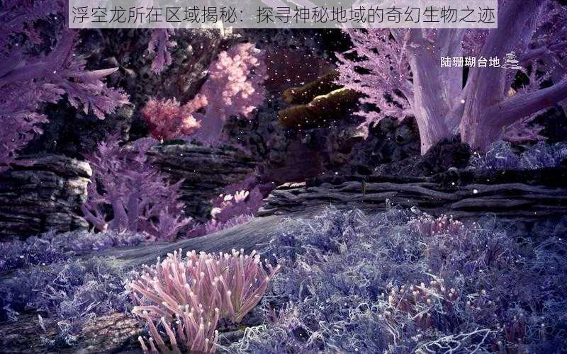 浮空龙所在区域揭秘：探寻神秘地域的奇幻生物之迹