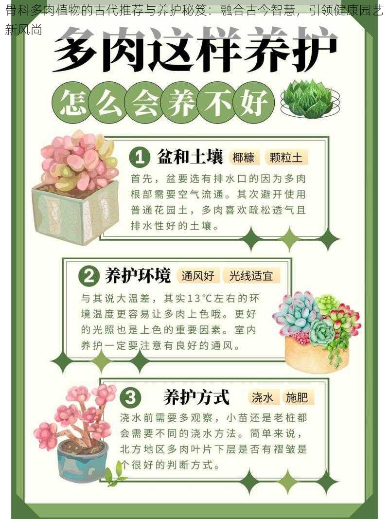 骨科多肉植物的古代推荐与养护秘笈：融合古今智慧，引领健康园艺新风尚