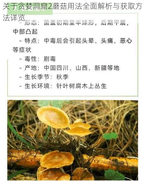 关于贪婪洞窟2蘑菇用法全面解析与获取方法详览